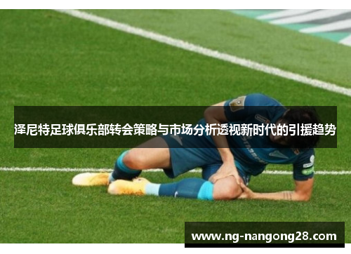 泽尼特足球俱乐部转会策略与市场分析透视新时代的引援趋势