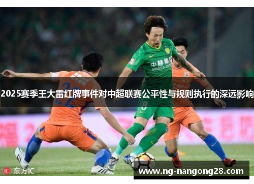 2025赛季王大雷红牌事件对中超联赛公平性与规则执行的深远影响