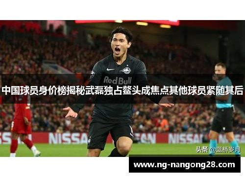 中国球员身价榜揭秘武磊独占鳌头成焦点其他球员紧随其后