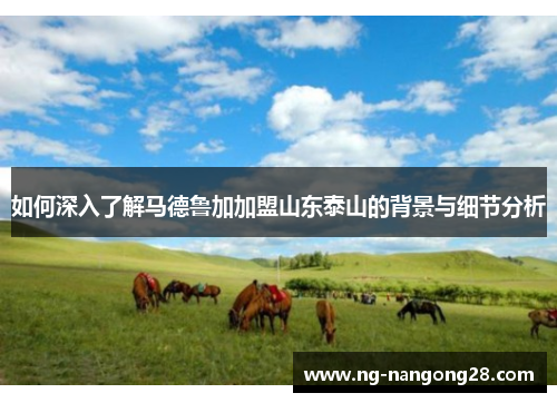 如何深入了解马德鲁加加盟山东泰山的背景与细节分析