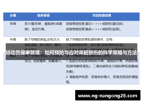 运动员健康管理：如何预防与应对肾脏损伤的科学策略与方法
