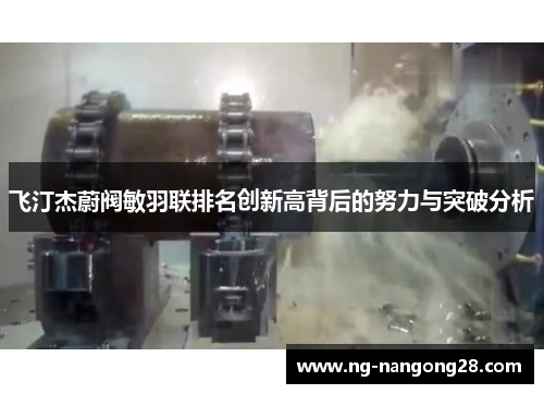 飞汀杰蔚阀敏羽联排名创新高背后的努力与突破分析