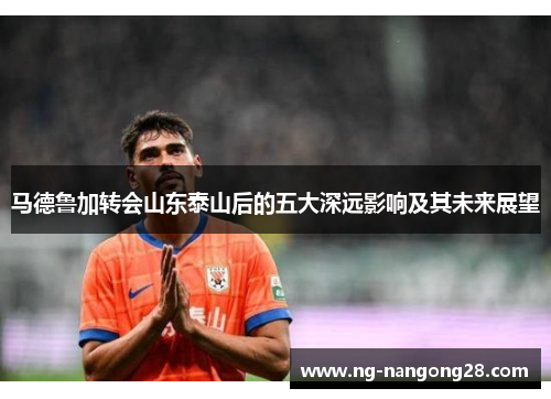 马德鲁加转会山东泰山后的五大深远影响及其未来展望